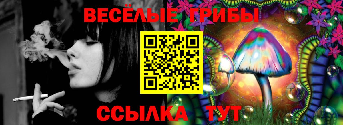 цена   Псилоцибиновые грибы Psilocybe  Вход с VPN  Киржач 